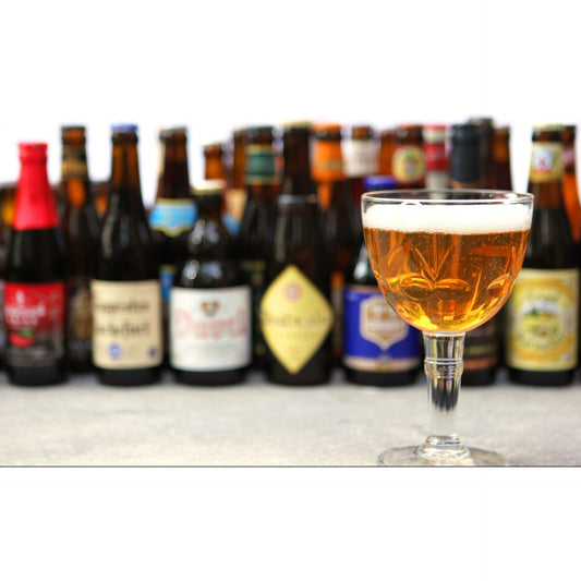 Belgian Beer Mixed Case (12 Pack)